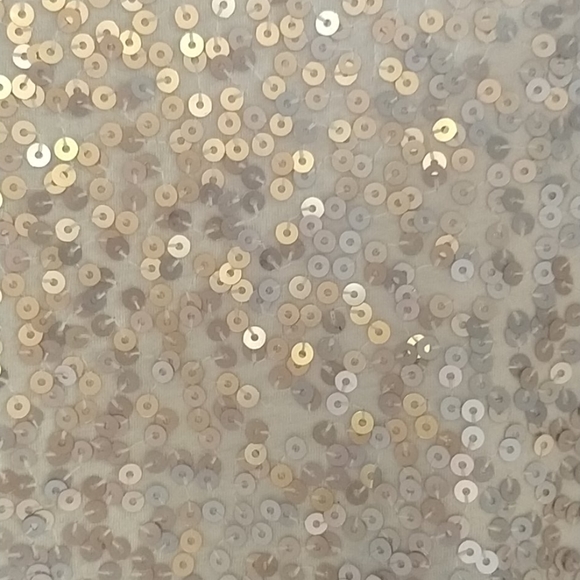 💥5 for $20 💥Express sequin tank - Picture 4 of 4